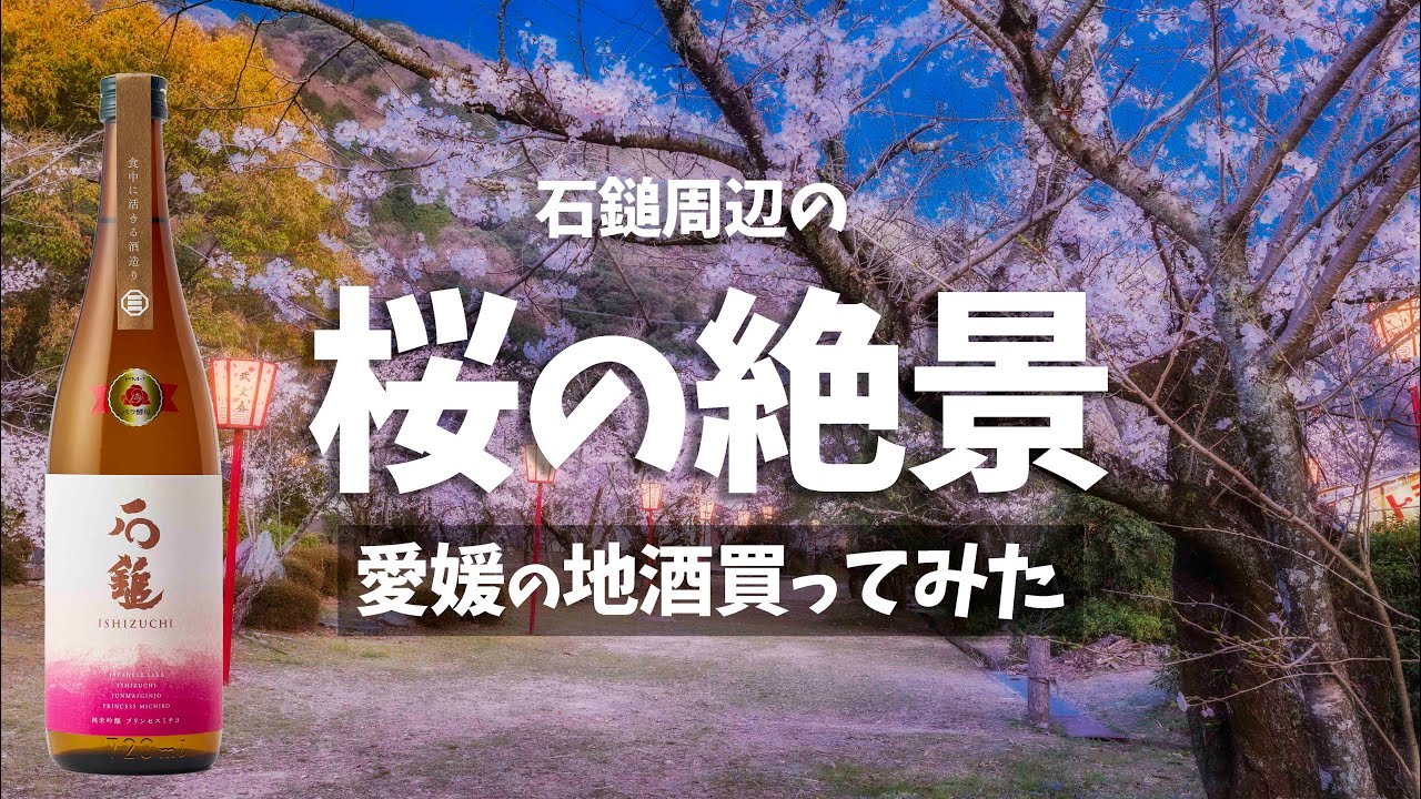 石鎚山周辺の 滝と桜の絶景巡り！愛媛の地酒 石鎚酒造のバラ酵母の日本酒！？【日本一周 二人旅】