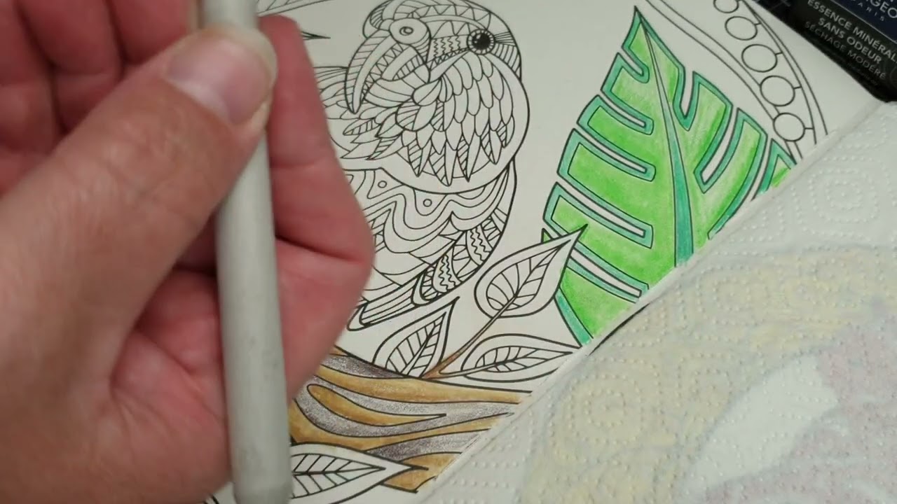 coloriage : estompage crayons polychromos Faber-castell