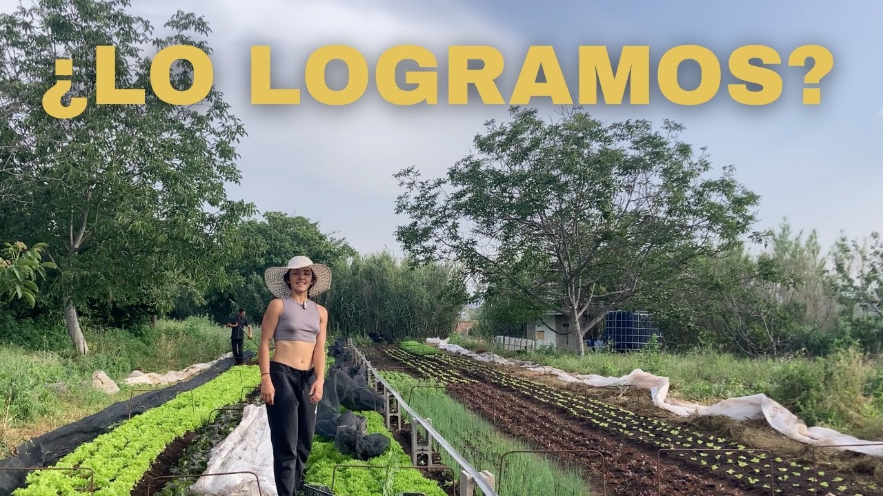 Las TAREAS de la HUERTA en TIEMPO RECORD