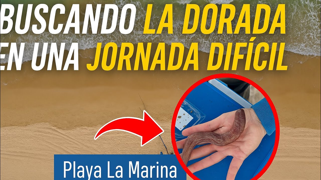 Buscando la DORADA en una jornada difícil | Redes, obstáculos y pesca en La Marina