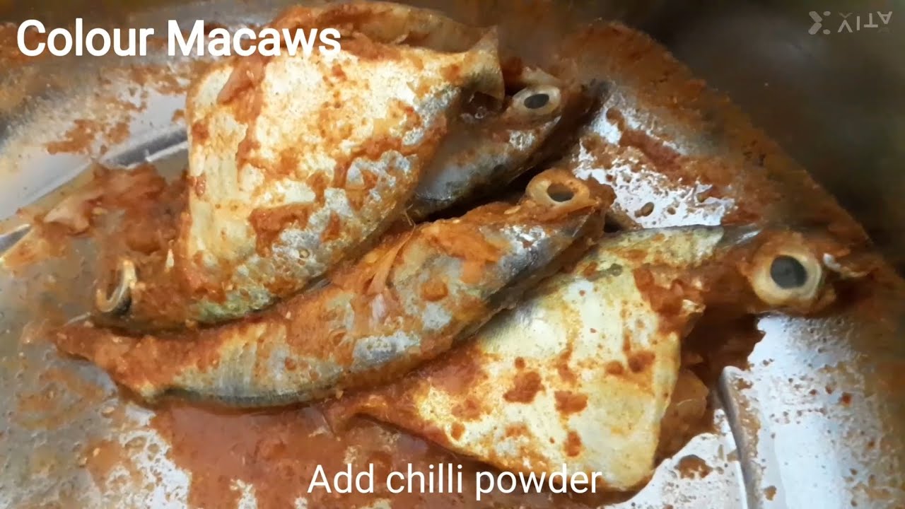 மீன் வறுவல் | Fish fry recipe | Colour Macaws