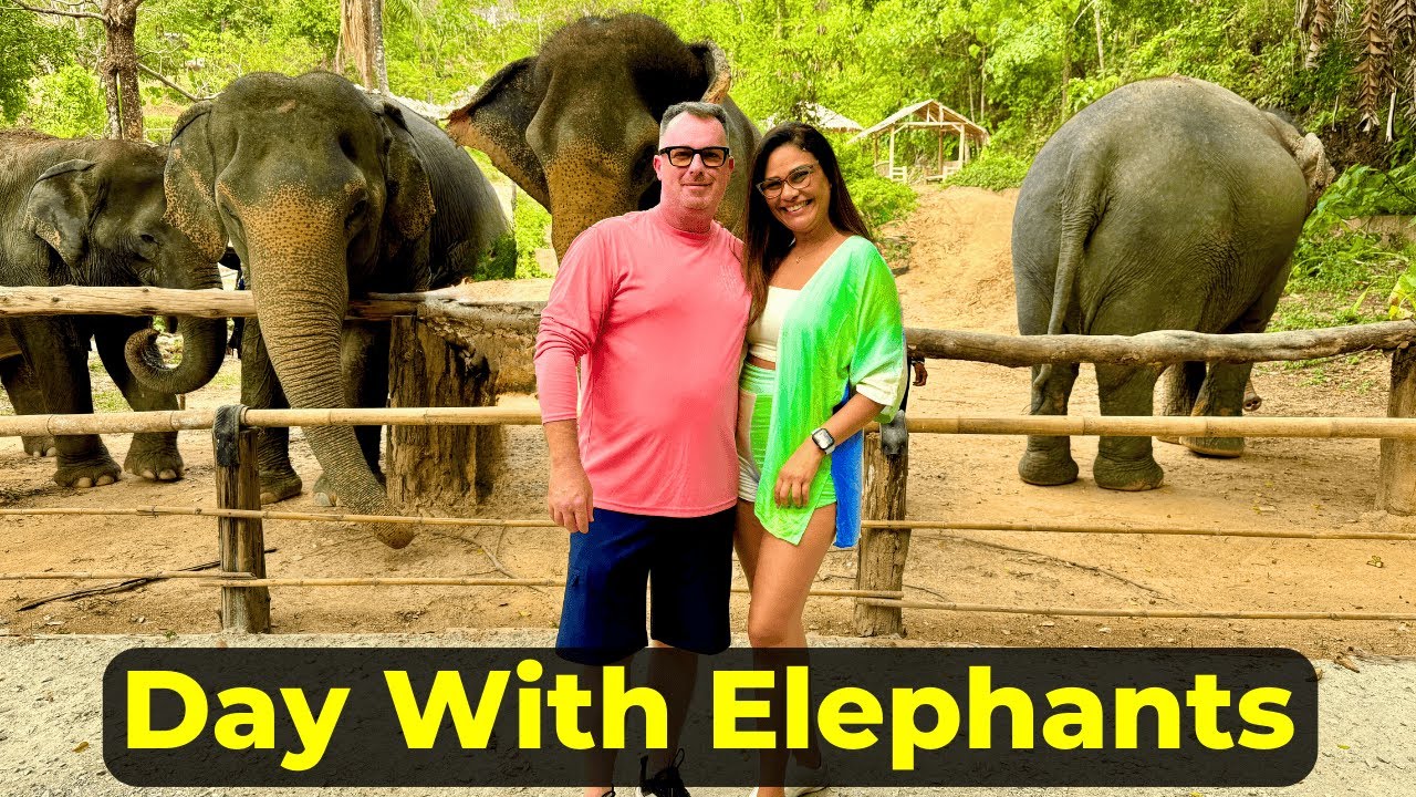 Discover the AMAZING Hidden Forest ELEPHANT RESERVE in PHUKET Thailand