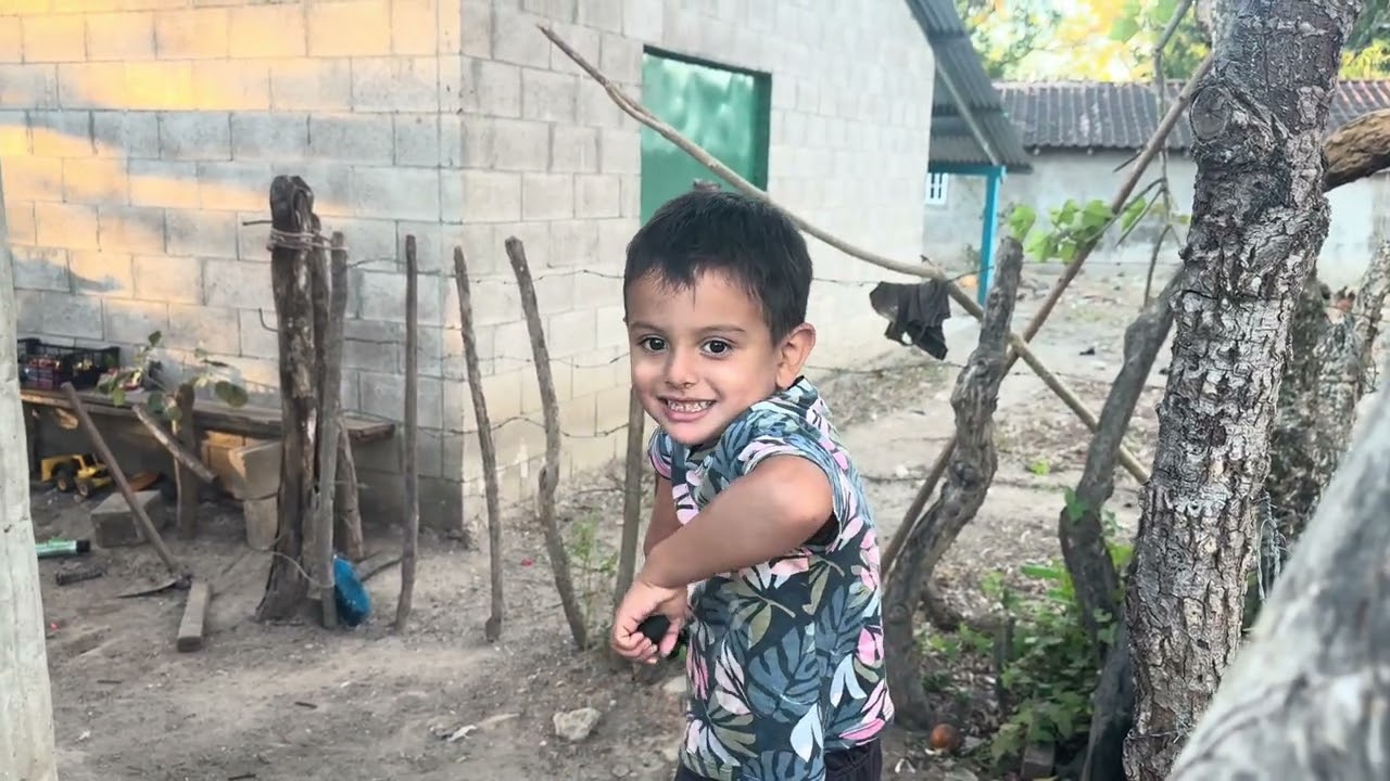Vean como eduar se gana la vida en el campo lidiando con vacas