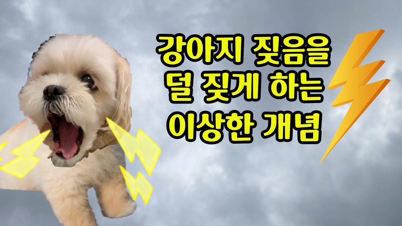강아지가 많이 짖는다면 이 하나만 이해하면 짖음은 완화 됩니다. 강아지 짖음 교육 아무리 열심히 해도 짖음이 고쳐지지 않는 이유는 이것 때문입니다.