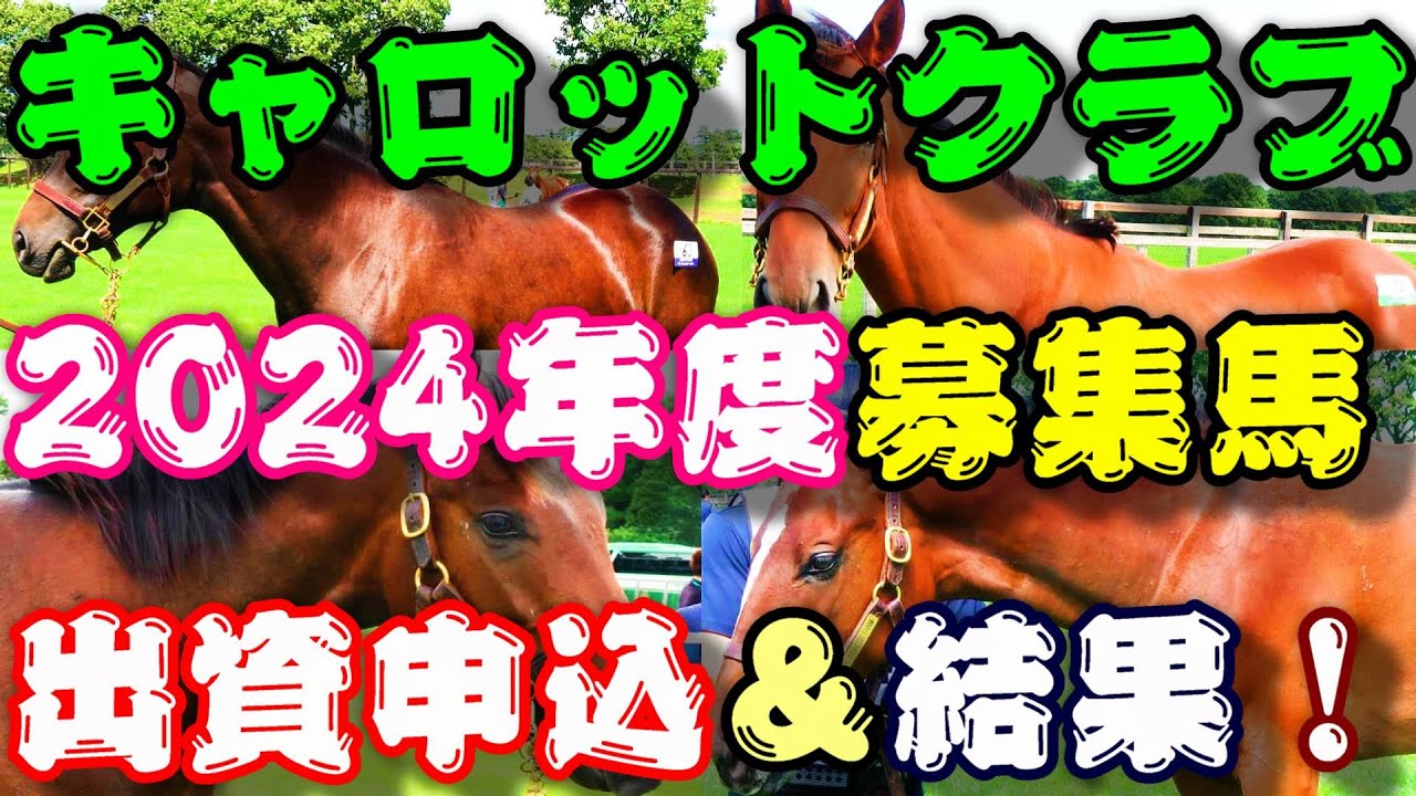 【一口馬主】キャロットクラブ2024年度募集馬出資申込&結果！-期限直前まで葛藤し決断した4頭への申込、聳える丘に希望を求めて-【キャロットクラブ】