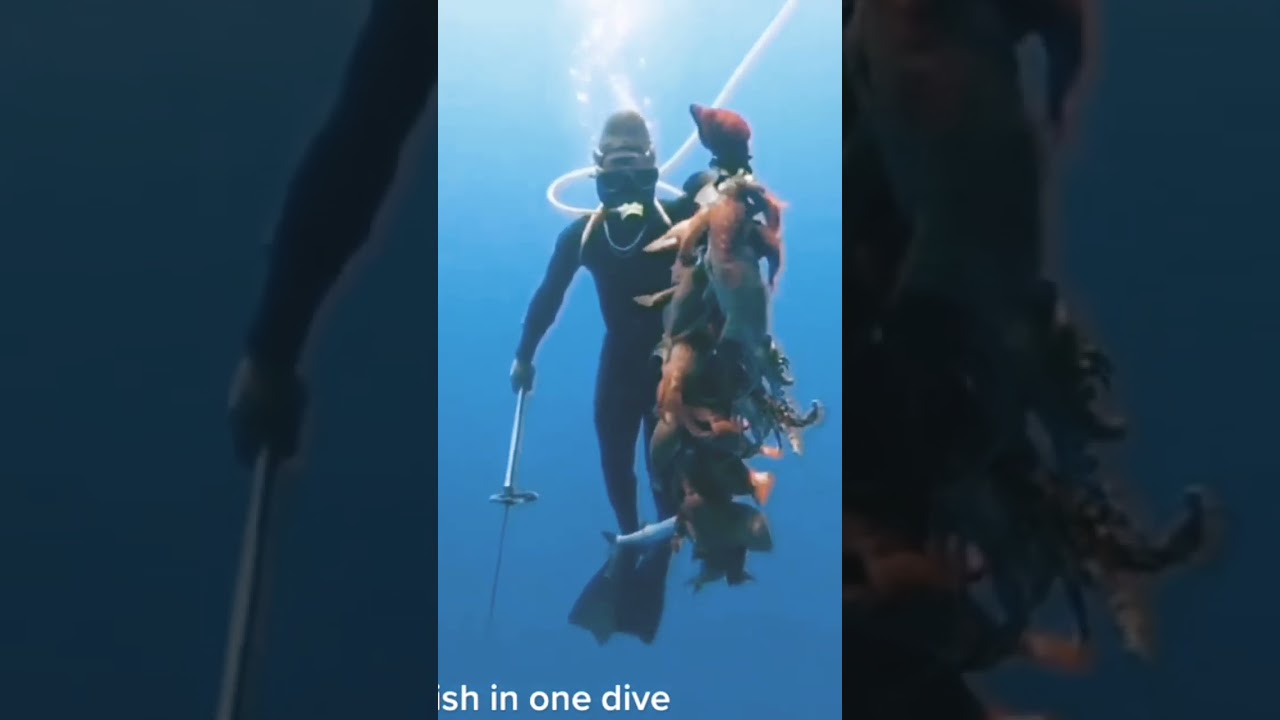 #shorts #sea Compressor diving Spearfishing #deep #sea #diver #jamaica #iland #boy #cobywave