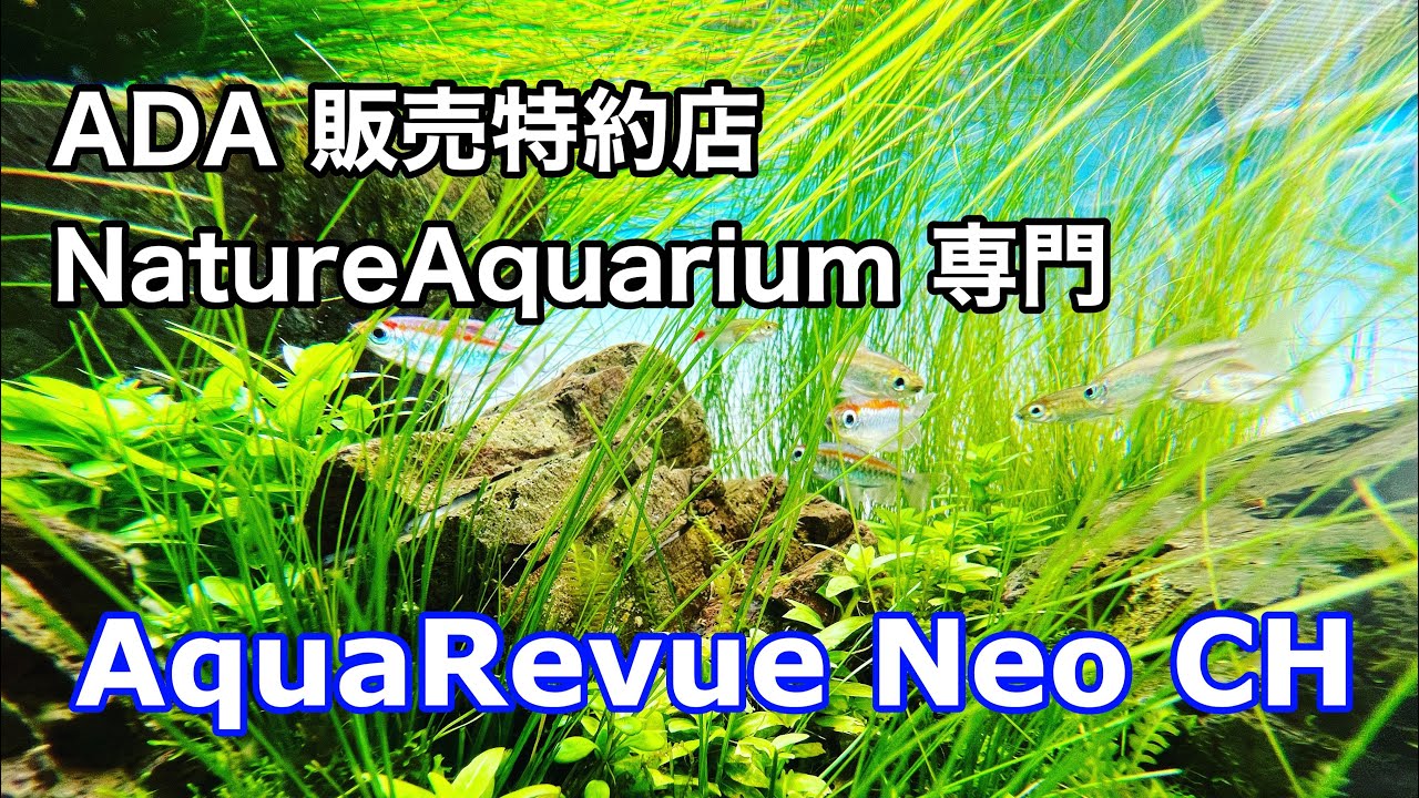 AquaRevue Neo CH   記念初回版