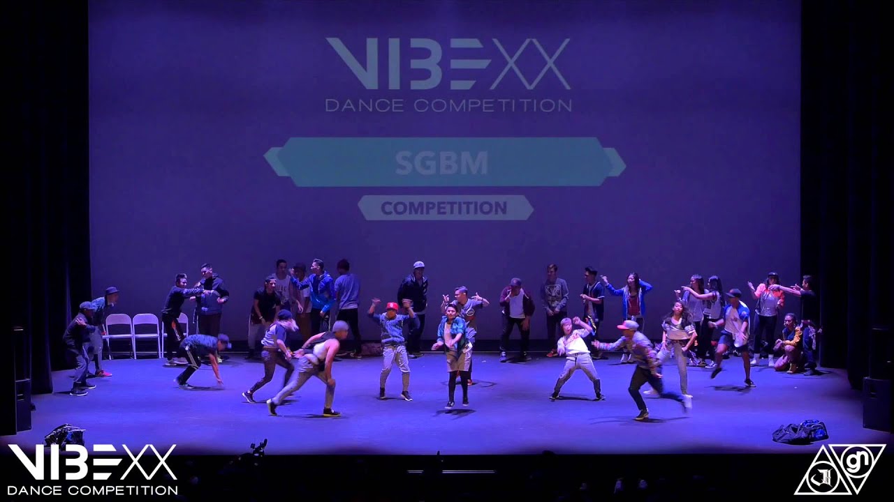 VIBE XX 2015 - SGBM