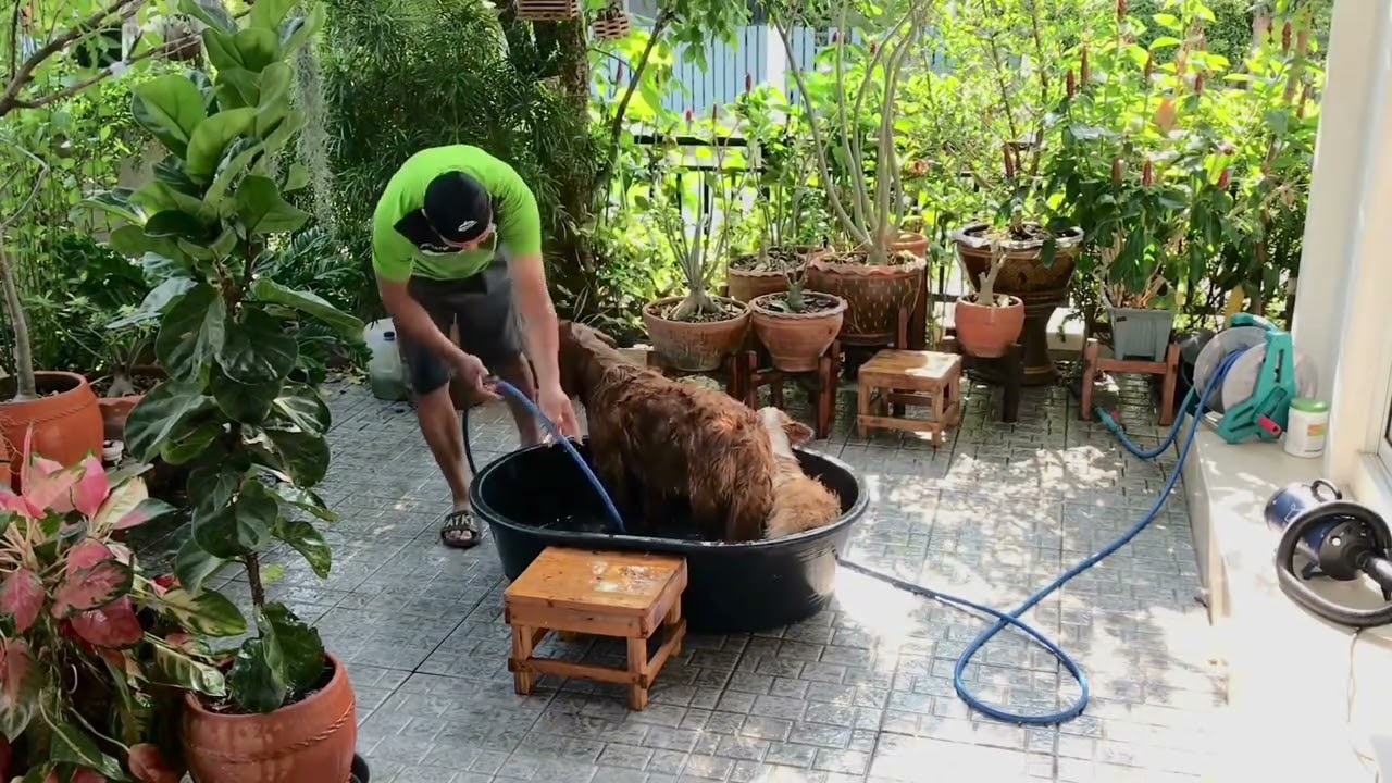 เวลาน้ำของเจ้าตูบ จะทำให้คุณยิ้มได้แน่นอน!