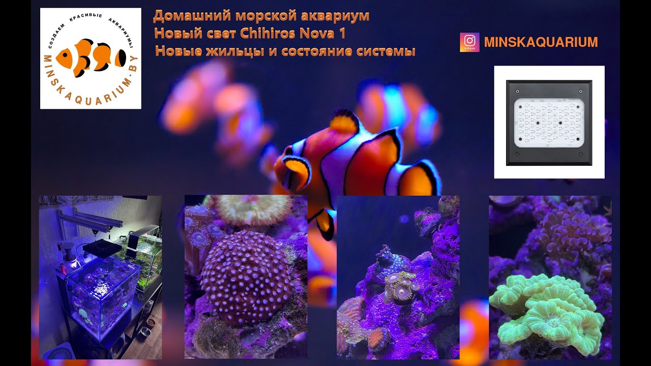 Морской аквариум дома. Новый светильник Chihiros Nova. Надо ли делать тесты воды?