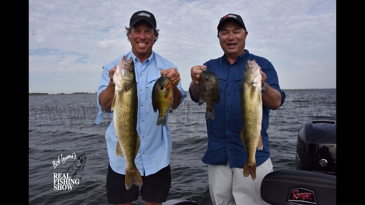 Multi Species on Lake st  Clair