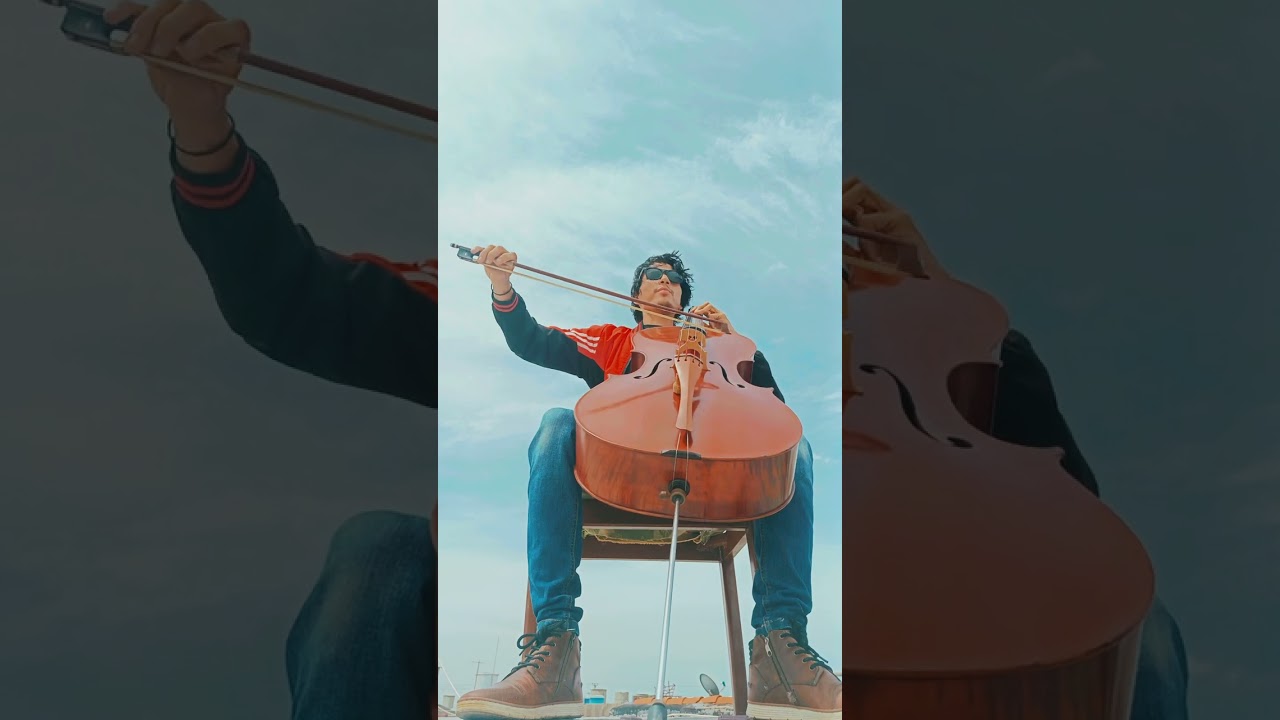 Cello Motive - HENTAI | Cello Cover