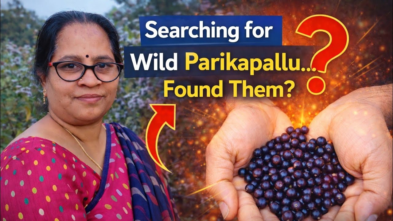 ￼ Paika pandllu kosam Anveshana doori Kaya Dora Kaadu ??