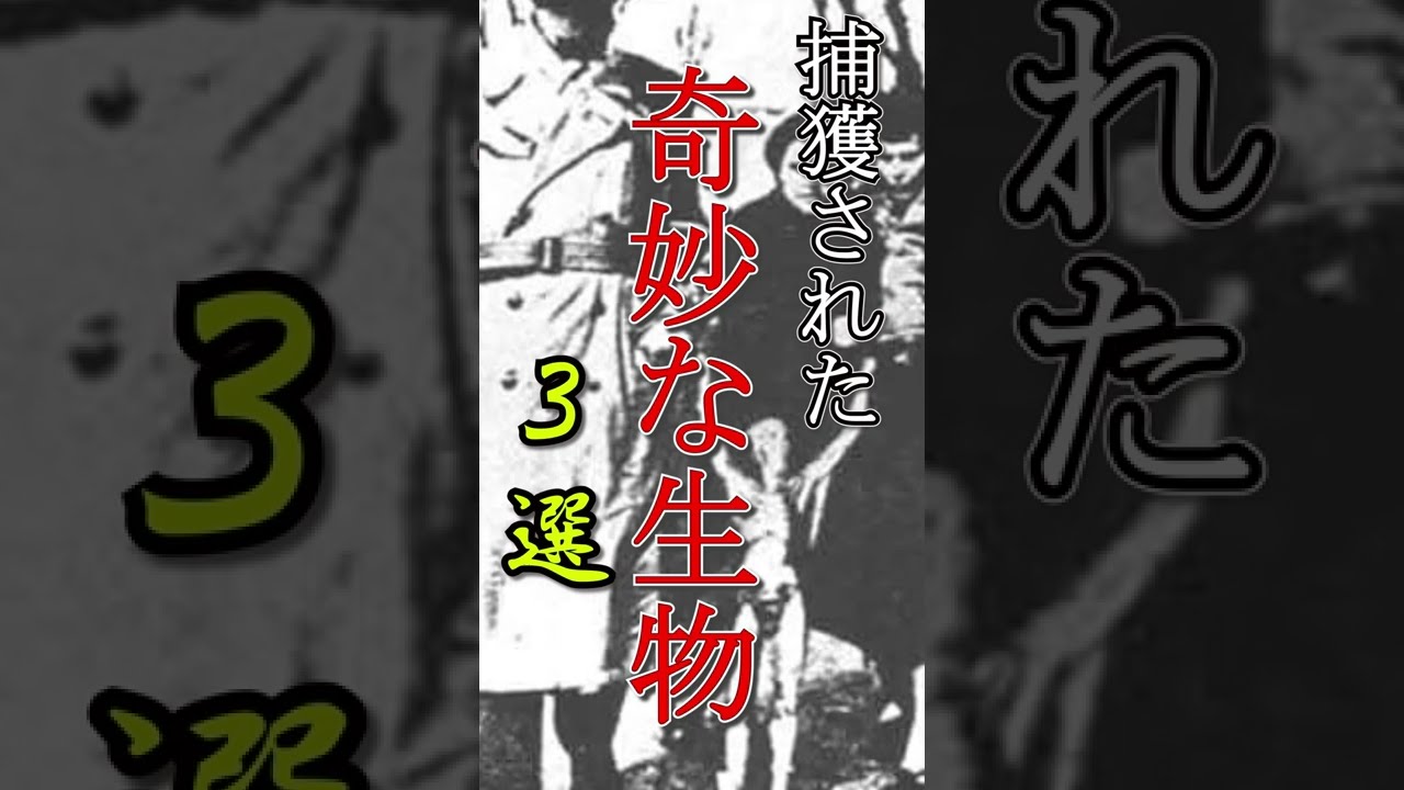 ついに捕獲された未確認生物 3選 【閲覧注意】#shorts
