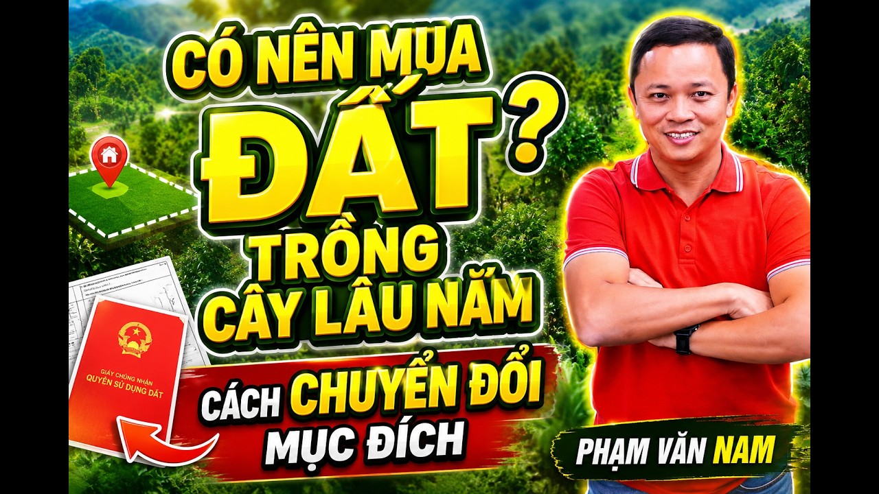 Có nên mua đất trồng cây lâu năm, Cách chuyển đổi mục đích I Phạm Văn Nam