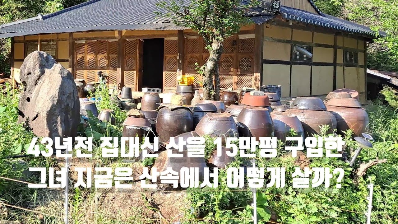 43년전 집대신 임야15만평을 산 그녀는 지금 어떻게 살까? 