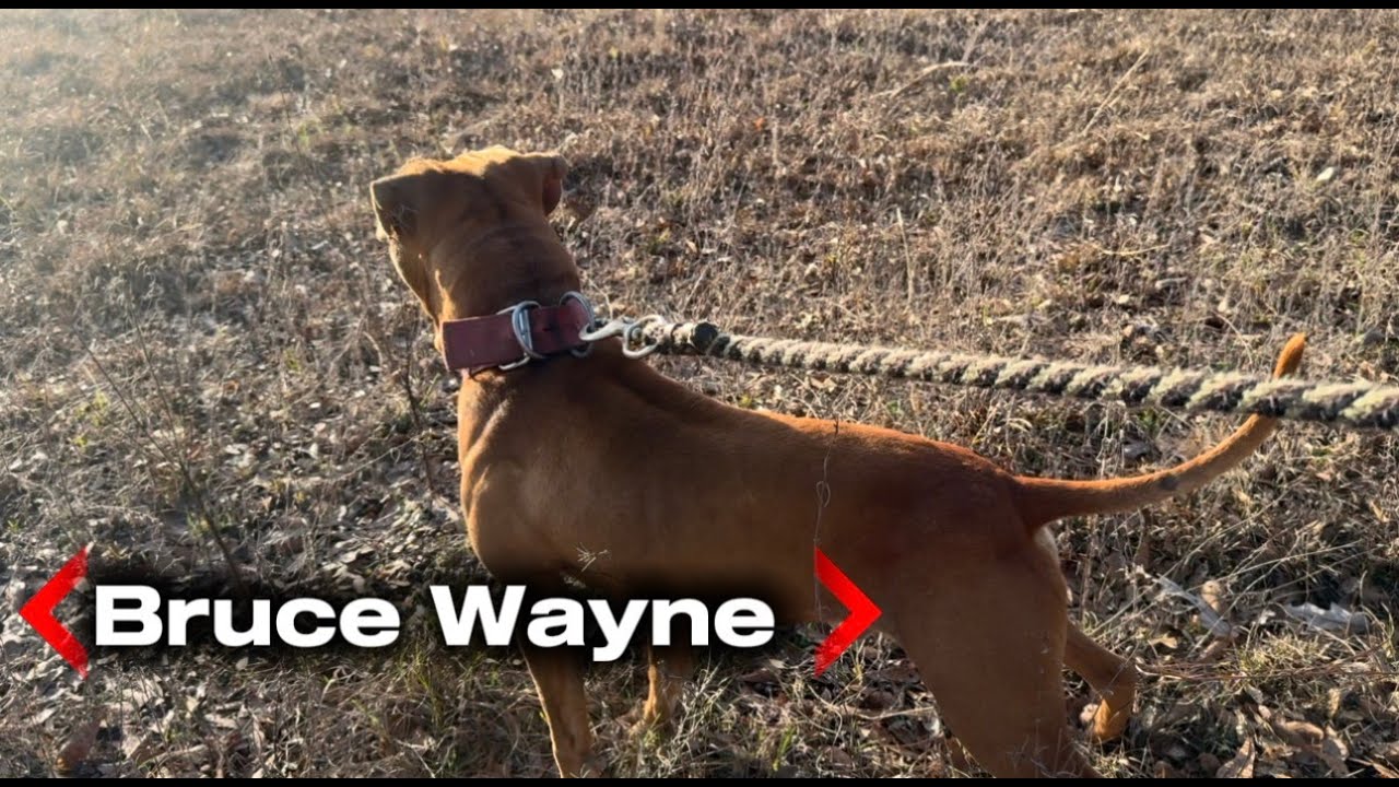 Bruce Wayne Sorrells #ASC #catchGuardMegiddo