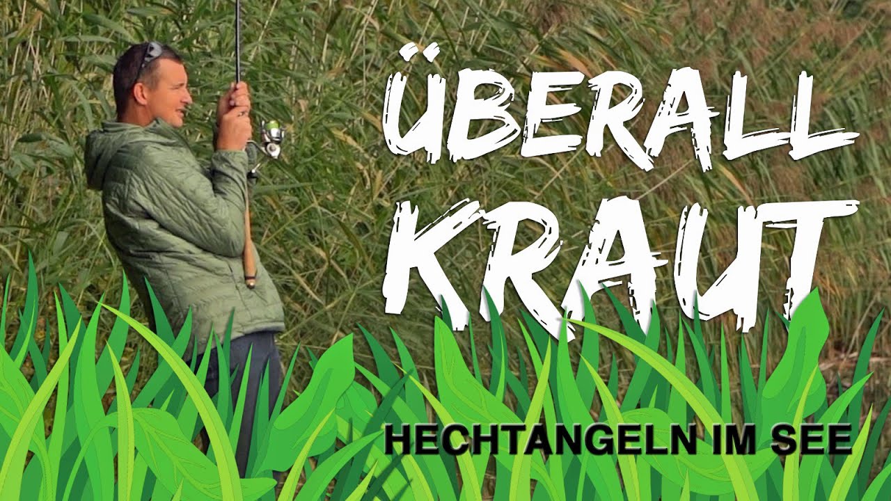 Gew&auml;sser voller Kraut: So f&auml;ngst Du trotzdem Hechte