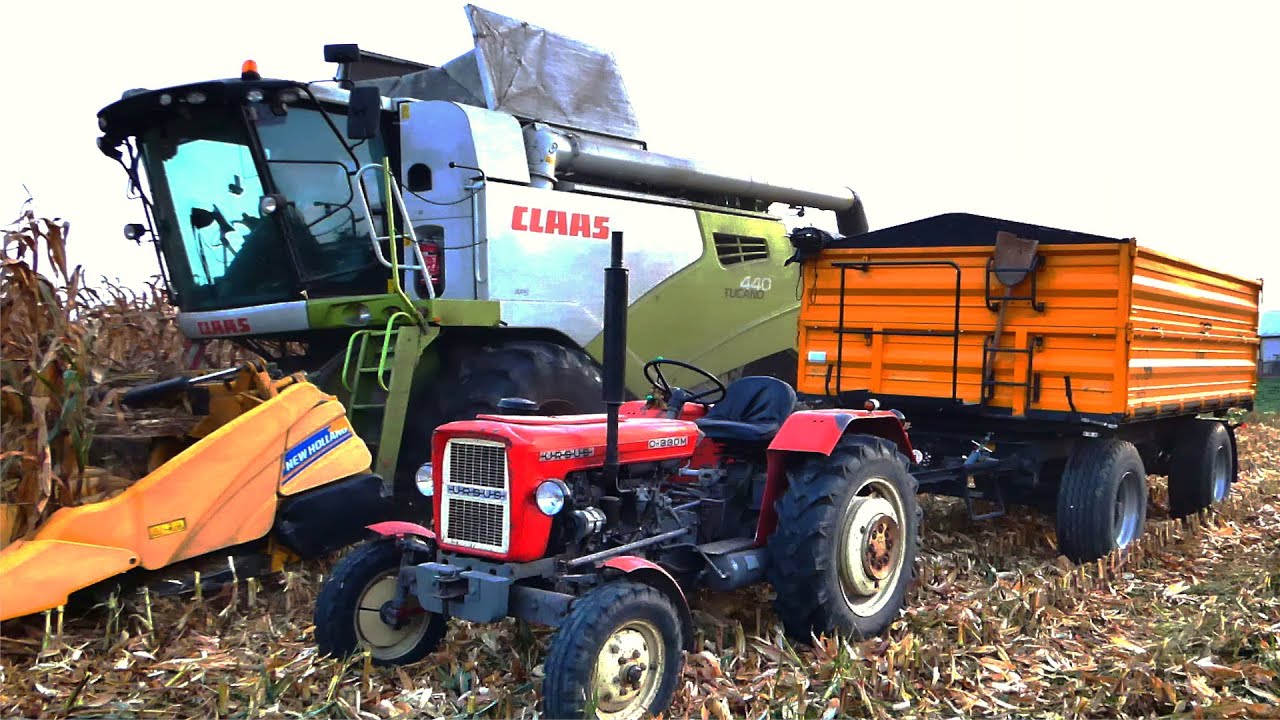 ☆Koszenie Kukurydzy z C.H.U GRUDNY☆ URSUS☆ 1614☆c330m☆ CLAAS TUCANO 440☆AgroLechuTeam
