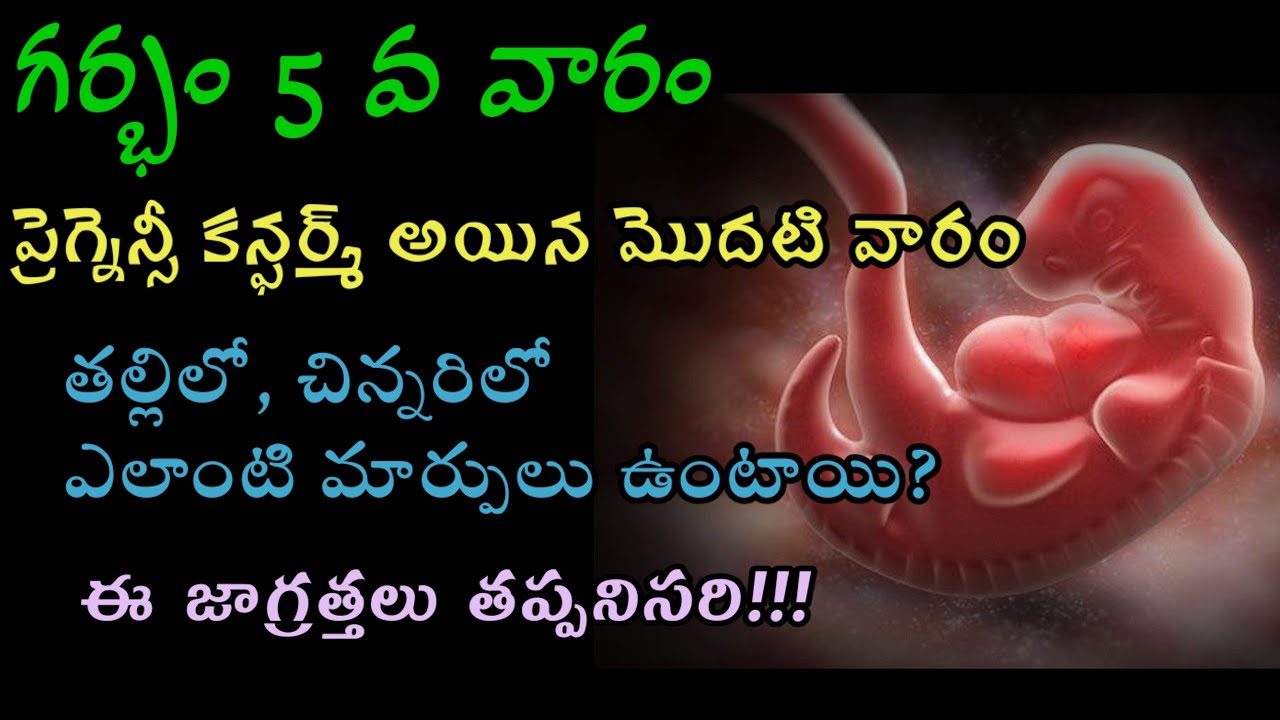 5 th week pregnancy symptoms and baby development full details in Telugu #pregnancy #momgeethastips