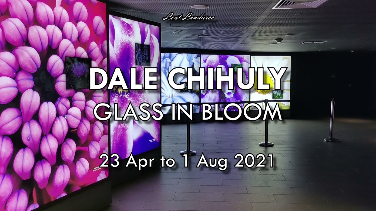GLASS IN BLOOM, FLOWER DOME, GARDENS BY THE BAY, SINGAPORE