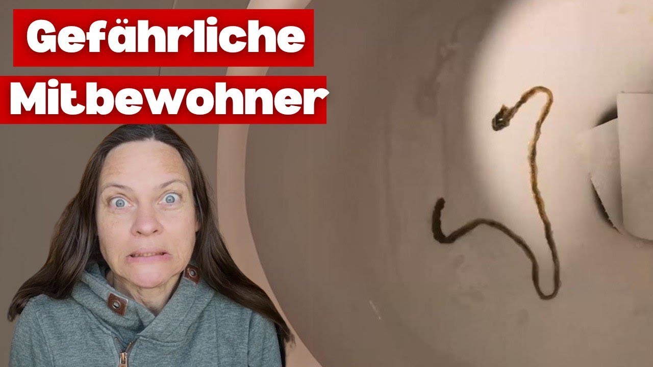 Gefährliche Mitbewohner? Parasiten und ihre Auswirkungen auf uns!