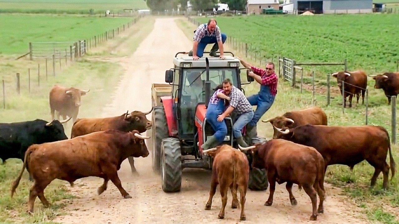 Best Farm Life Fails 🚜🐄 Farm Animal & Tractor Fails