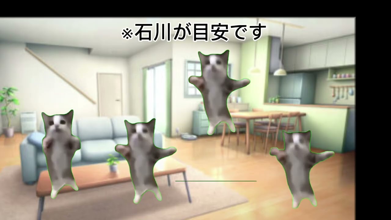 地震の猫の違い#1ミリでもいいと思ったらいいね#地震対策 #地理系 