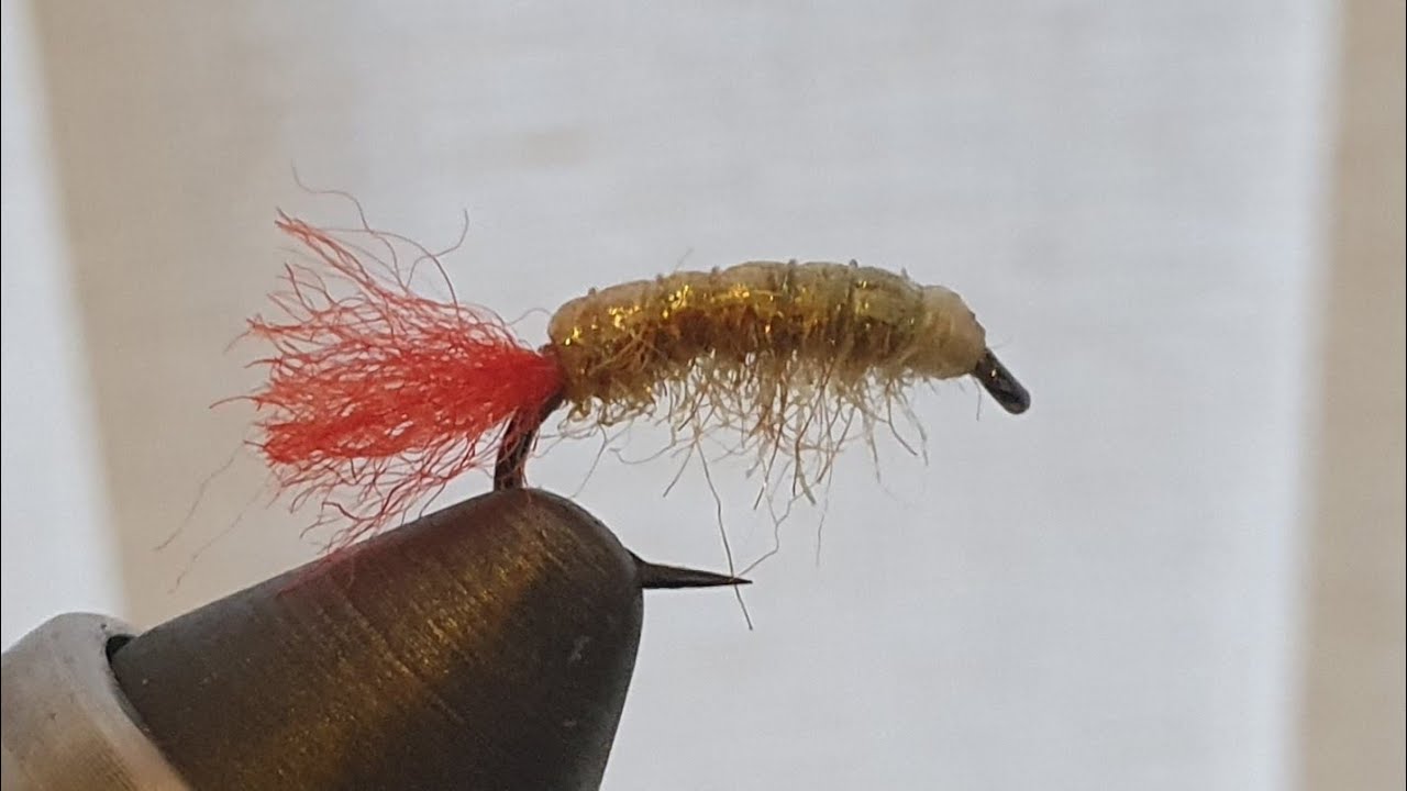 Mullet sand Shrimp. (Colin Macleod's Romy's shrimp).