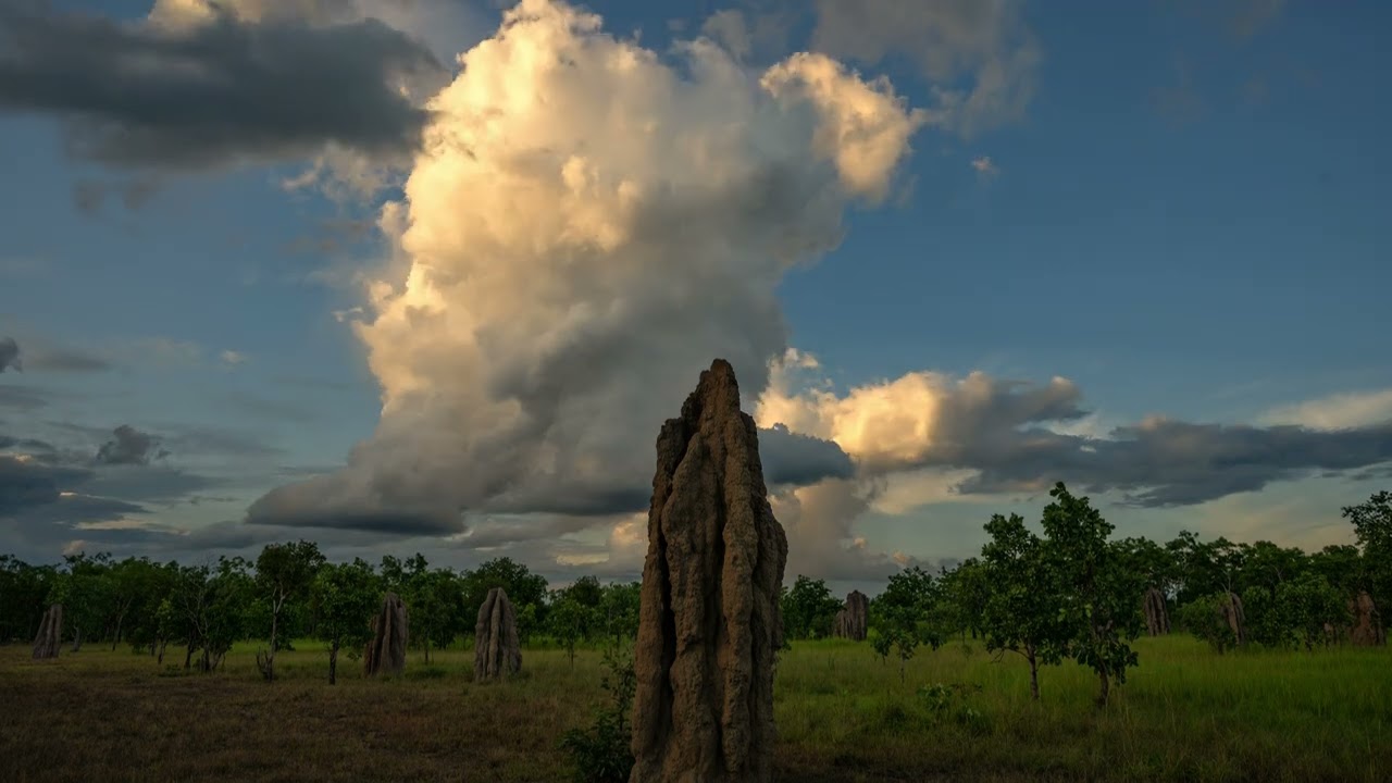 Stormscapes of Darwin