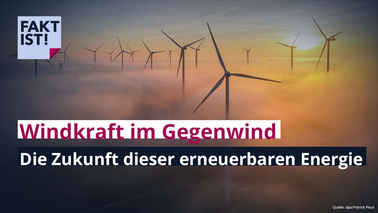 Windkraft im Gegenwind – Wie geht es weiter für diese erneuerbare Energie? | Fakt ist! | MDR