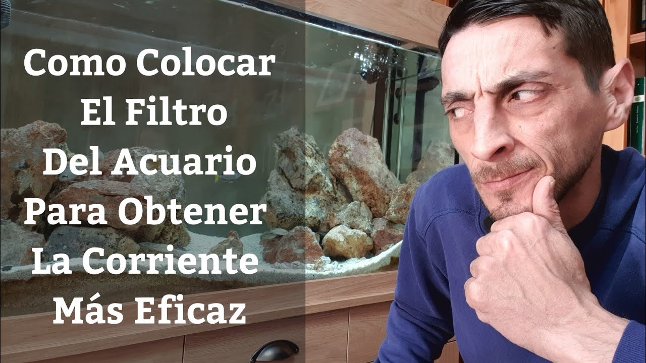 🔵 Como Colocar El Filtro Del Acuario Para Obtener La Corriente Más Eficaz (Acuarios MB)