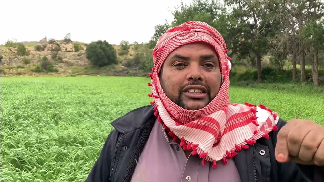 سَفَعْها الهواء