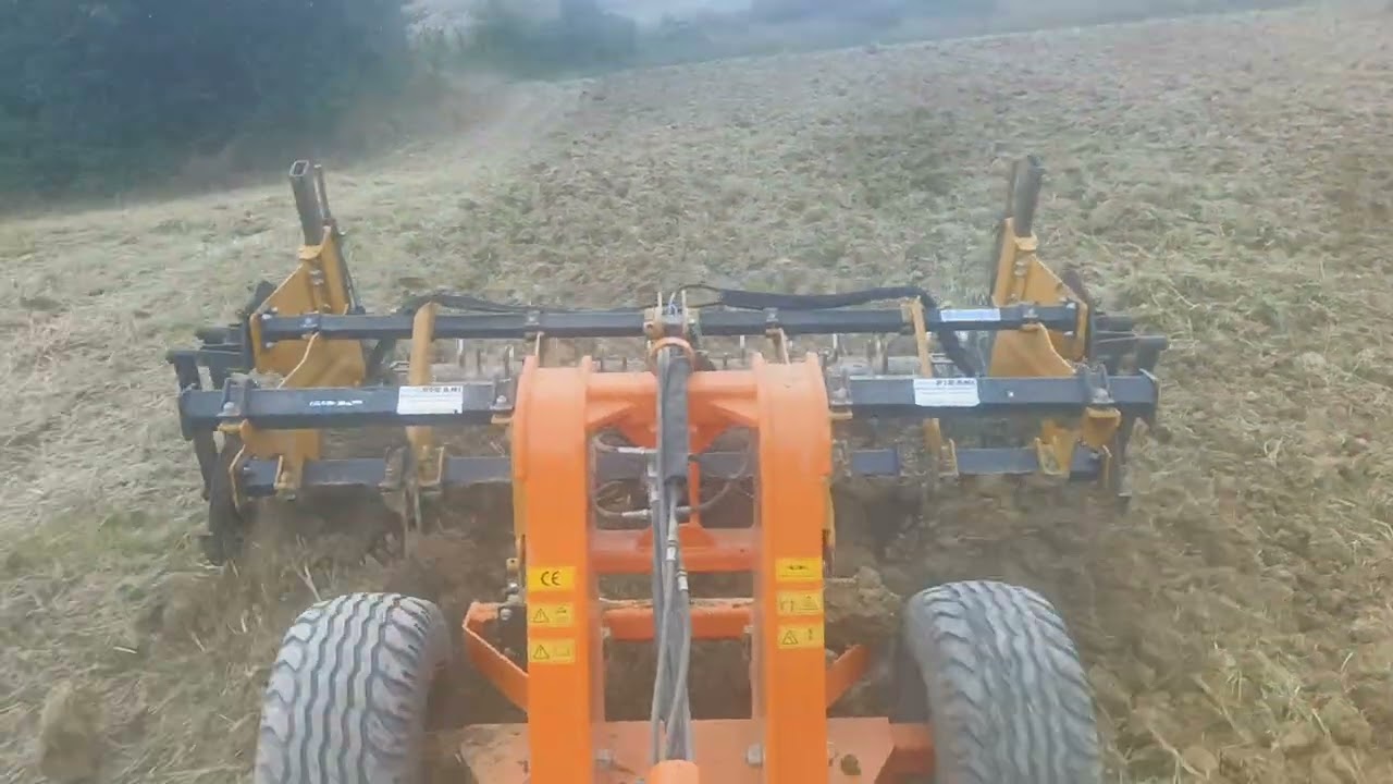 D5B VHP con ripuntatore alpego carrellato con portattrezzi Fraternali