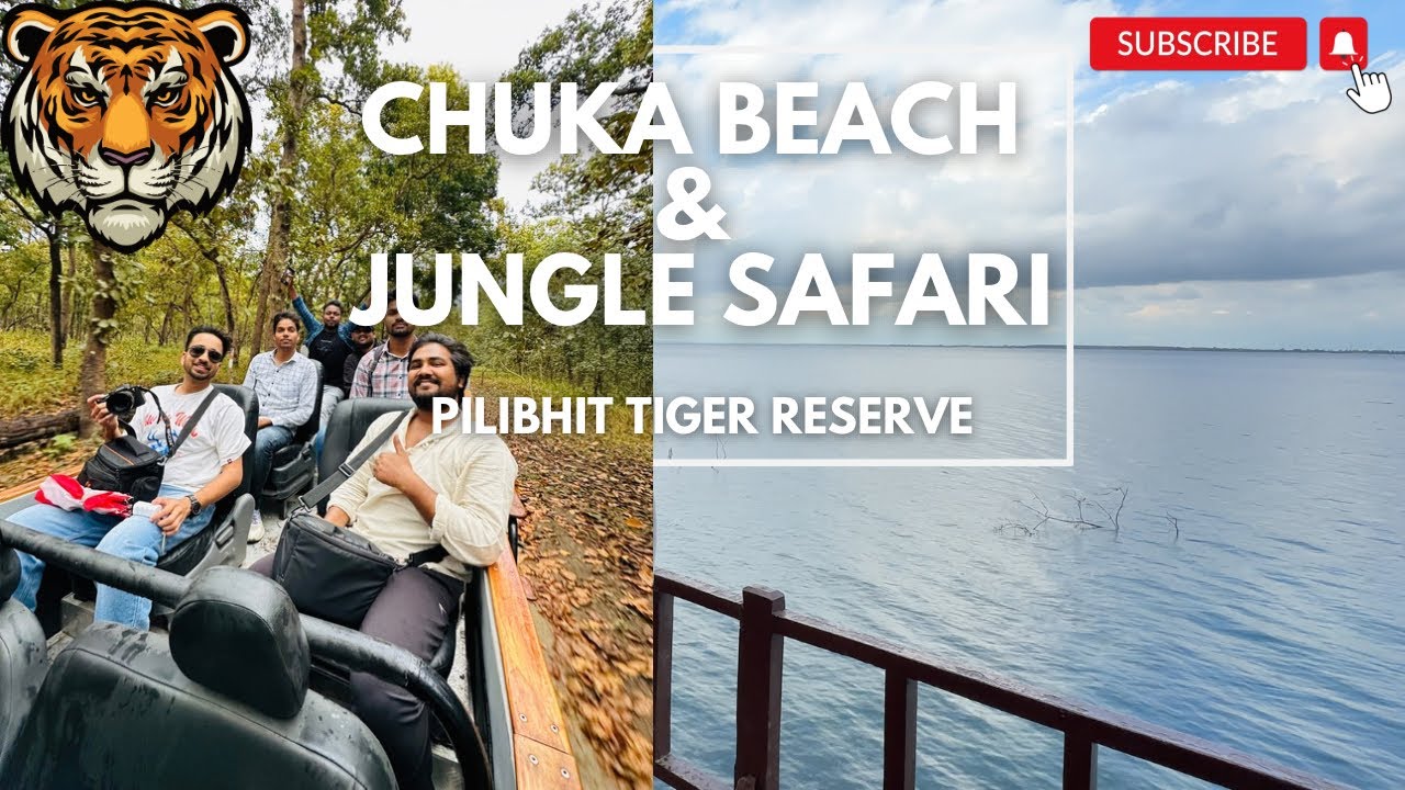 Pilibhit Tiger Reserve & Chuka Beach | Hidden Gem Of Uttar Pradesh | Jungle Safari