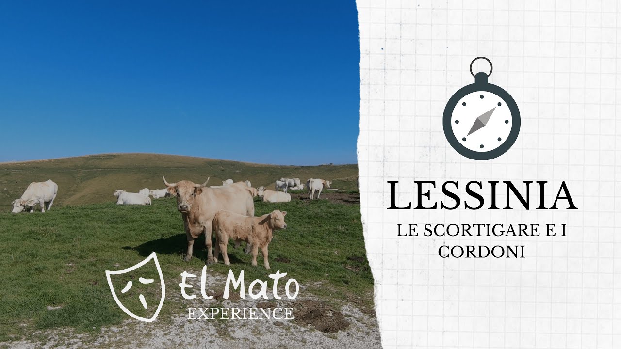 El Mato - TREKKING in LESSINIA con CANE tra i pascoli e le malghe delle montagne veronesi più belle!