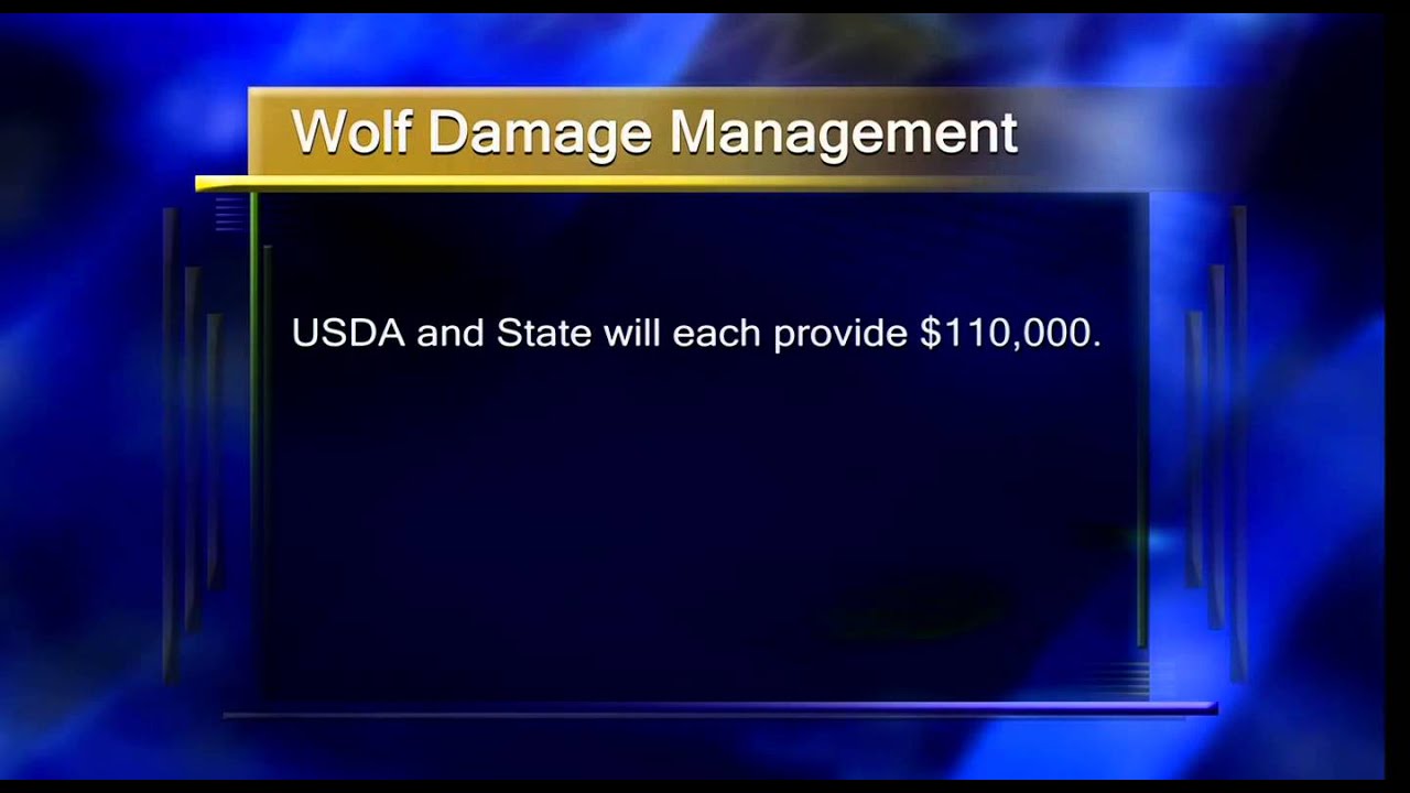 Wolf Damage Management - Lakeland News at Ten - March 18, 2015