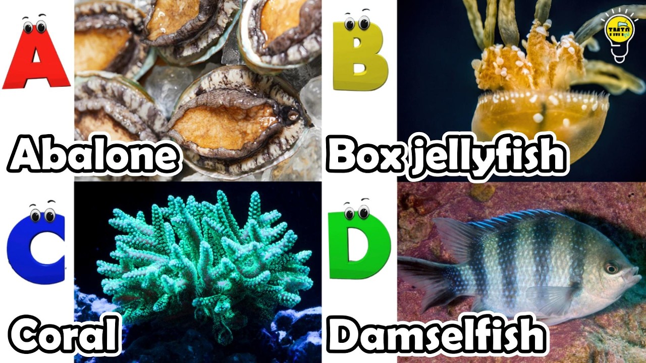 ABC phonics animals | ABC Sea Animals song | English and Animals for Kids | Alphabets Kids Song