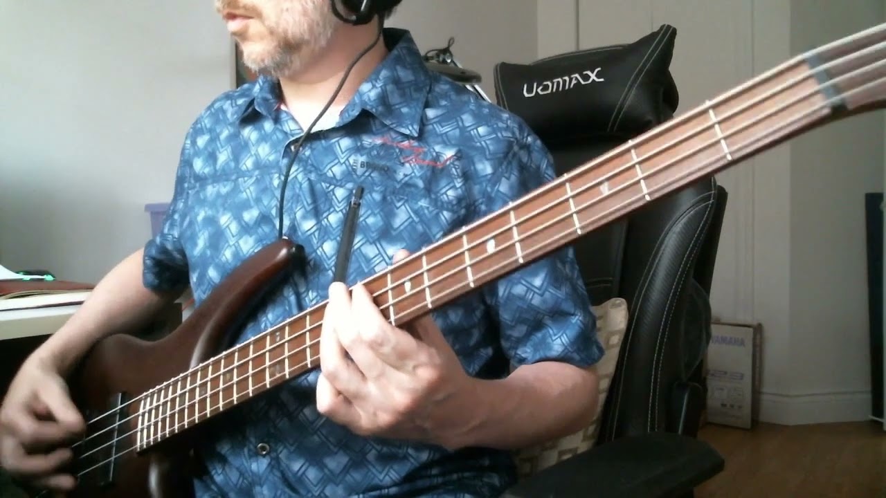 Riverside - Self-Aware (bass cover)