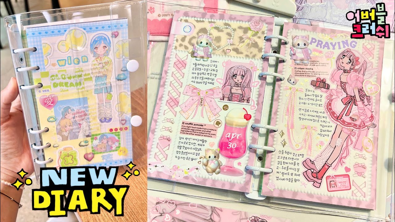 Eng) ✶𝑵𝑬𝑾 𝑫𝑰𝑨𝑹𝒀✶ Decorating the diary cover and the diary with various illustration stickers ᕷ₊·ᩚ.ᐟ.