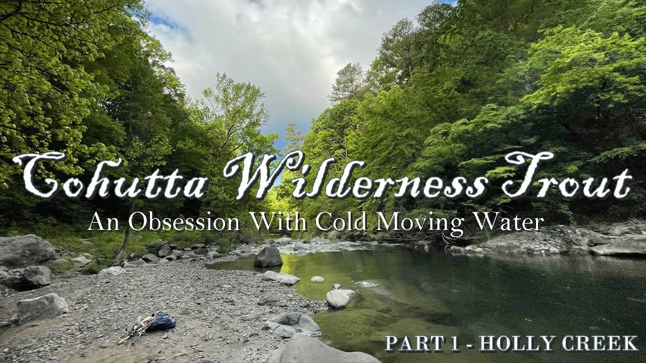 Cohutta Wilderness Trout (Pt. 1 - Holly Creek, GA.)