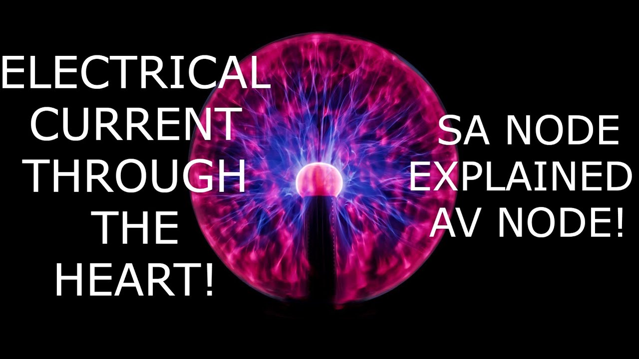 SA NODE!  Sinoatrial Node Explained!  Pacemaker of the heart explained!!