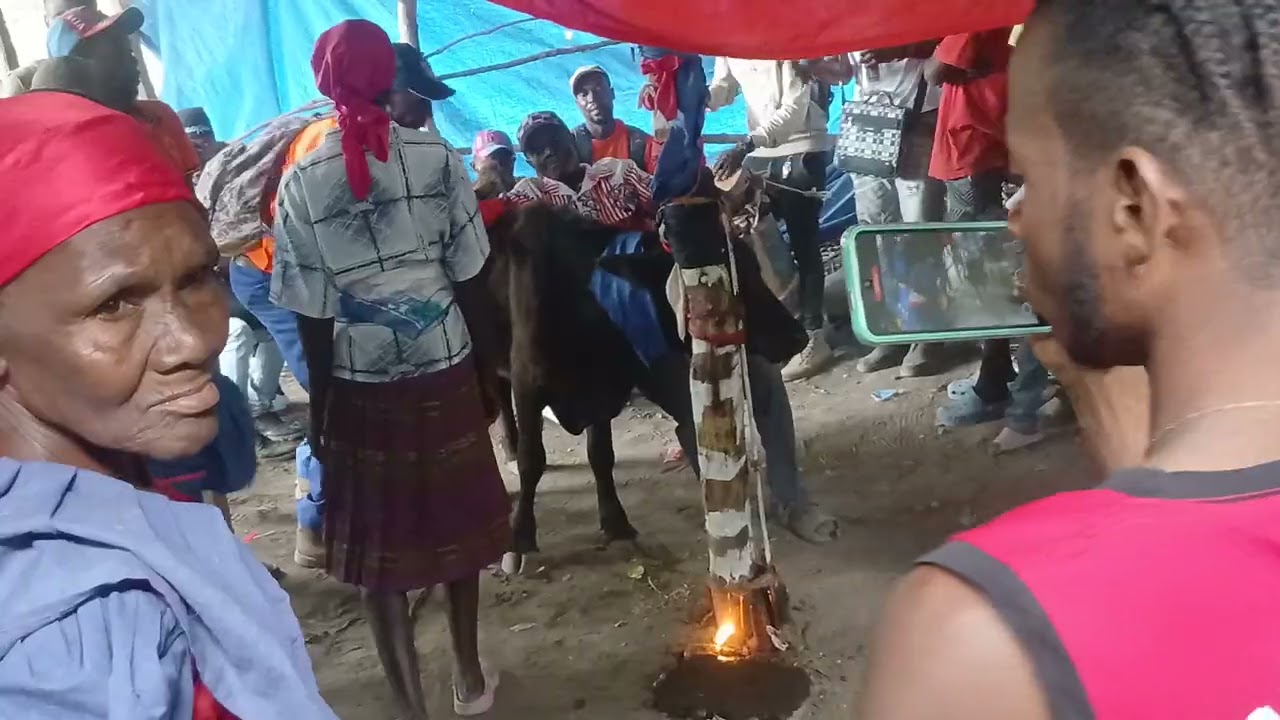 Se domaj espri yo pat vle nou filme pou fanatik yo te ka wè kote bèf la pral pran kout manchèt la