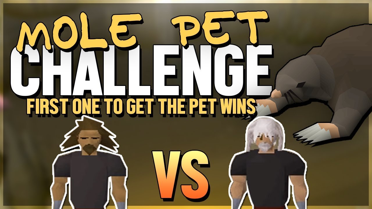 Giant Mole Pet Challenge, First pet wins! | Tanzoo v Virtoso | Episode 136