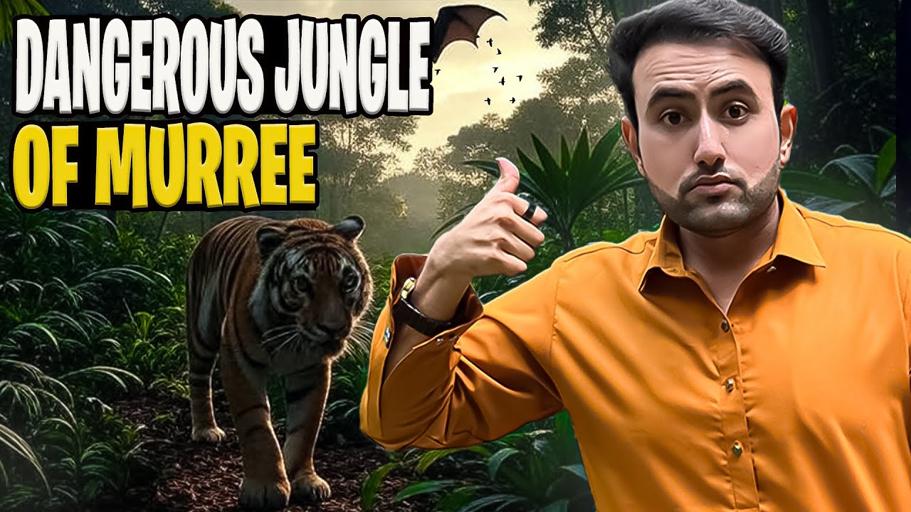 What Happens in Murree's Haunted Forest?