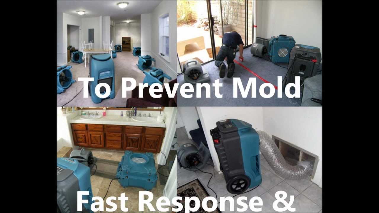 Santee Flood Damage |Call Flood Doctors 619 447-4444