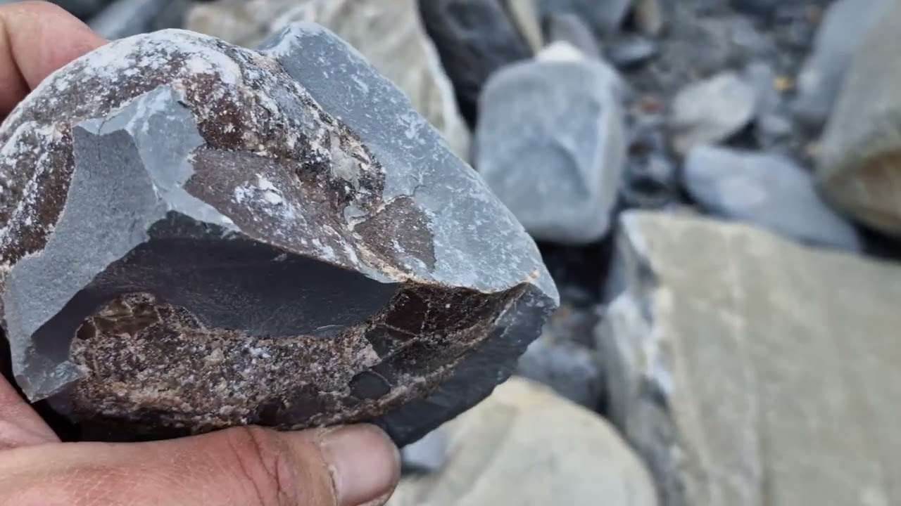 watchet  Warren Bay to blue anchor fossil hunt Somerset