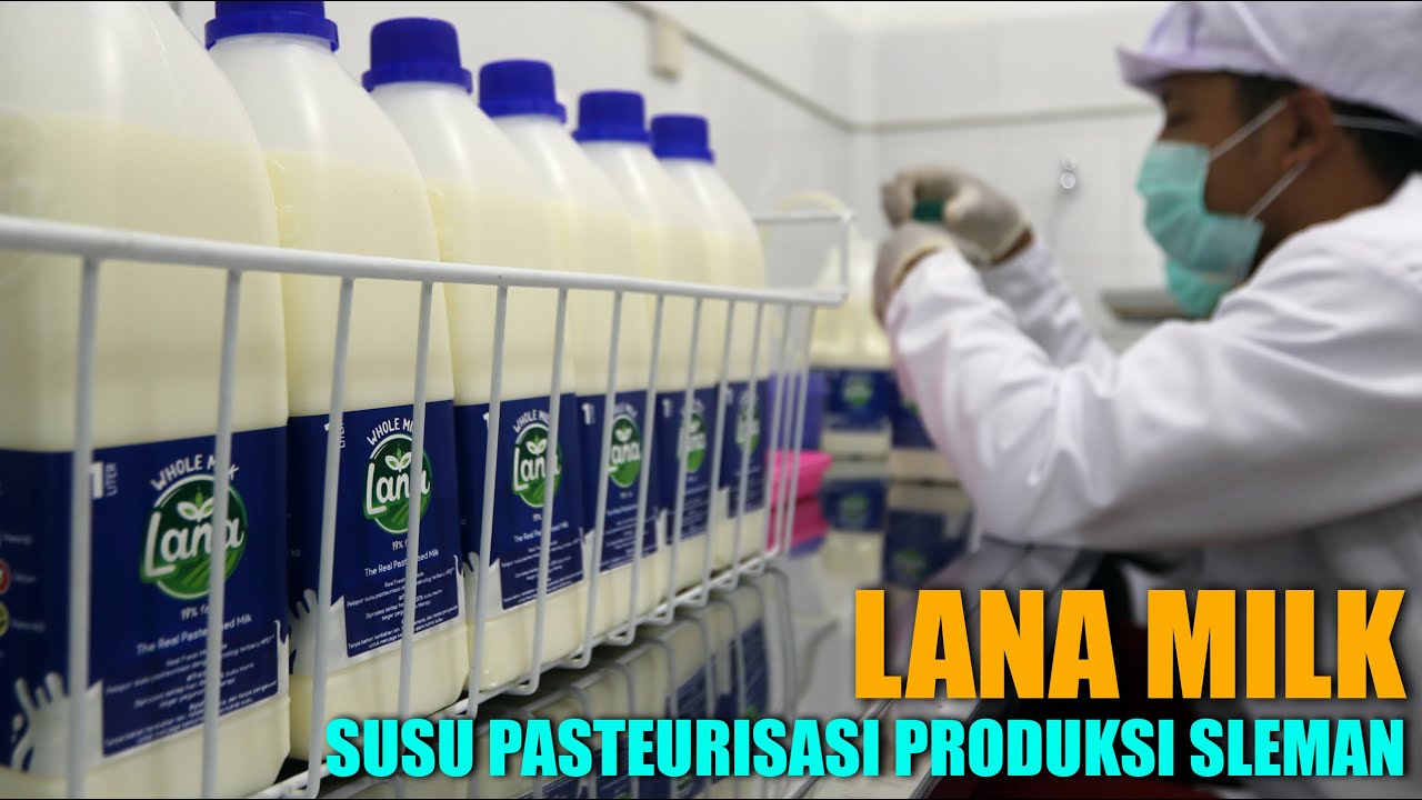 LANA MILK | Susu Pasteurisasi Buatan Sleman Diolah Secara Modern