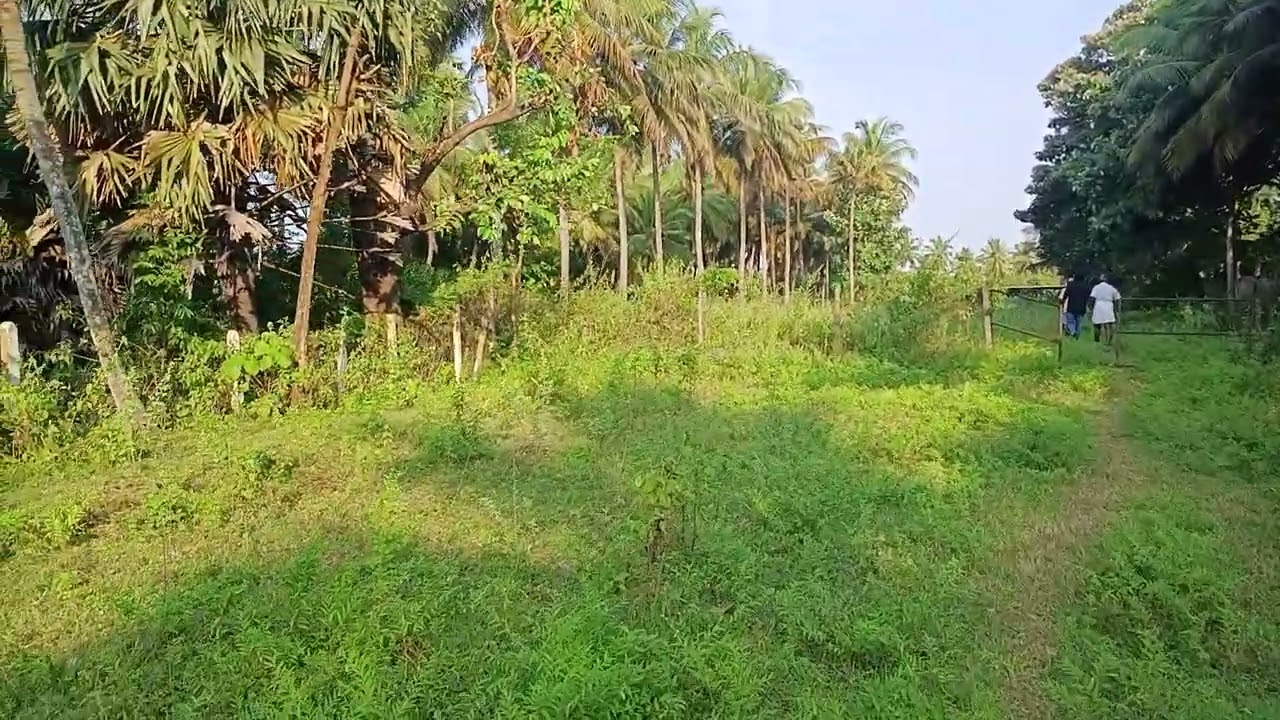 4 acer Land for lease PALAKKAD chittur  7902693276