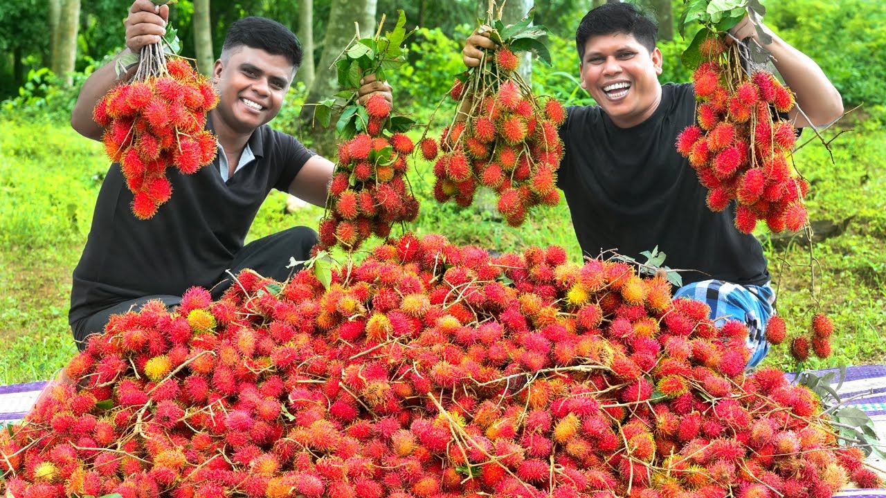 100kg RAMBUTAN | Yummy Rambutan Pickle | Fruit Pickle Recipe | Village Food